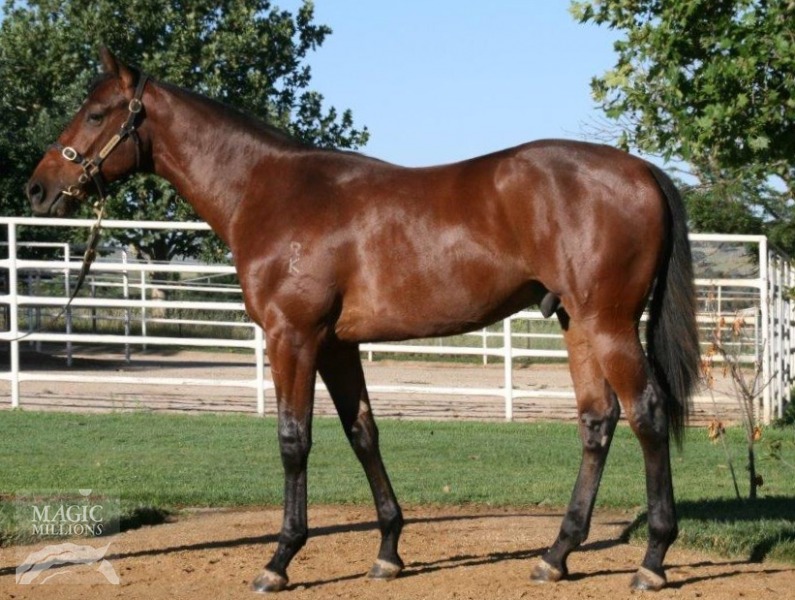 Europium Colt