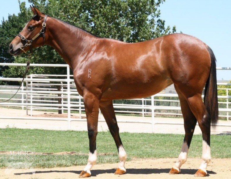 La Lagune Filly
