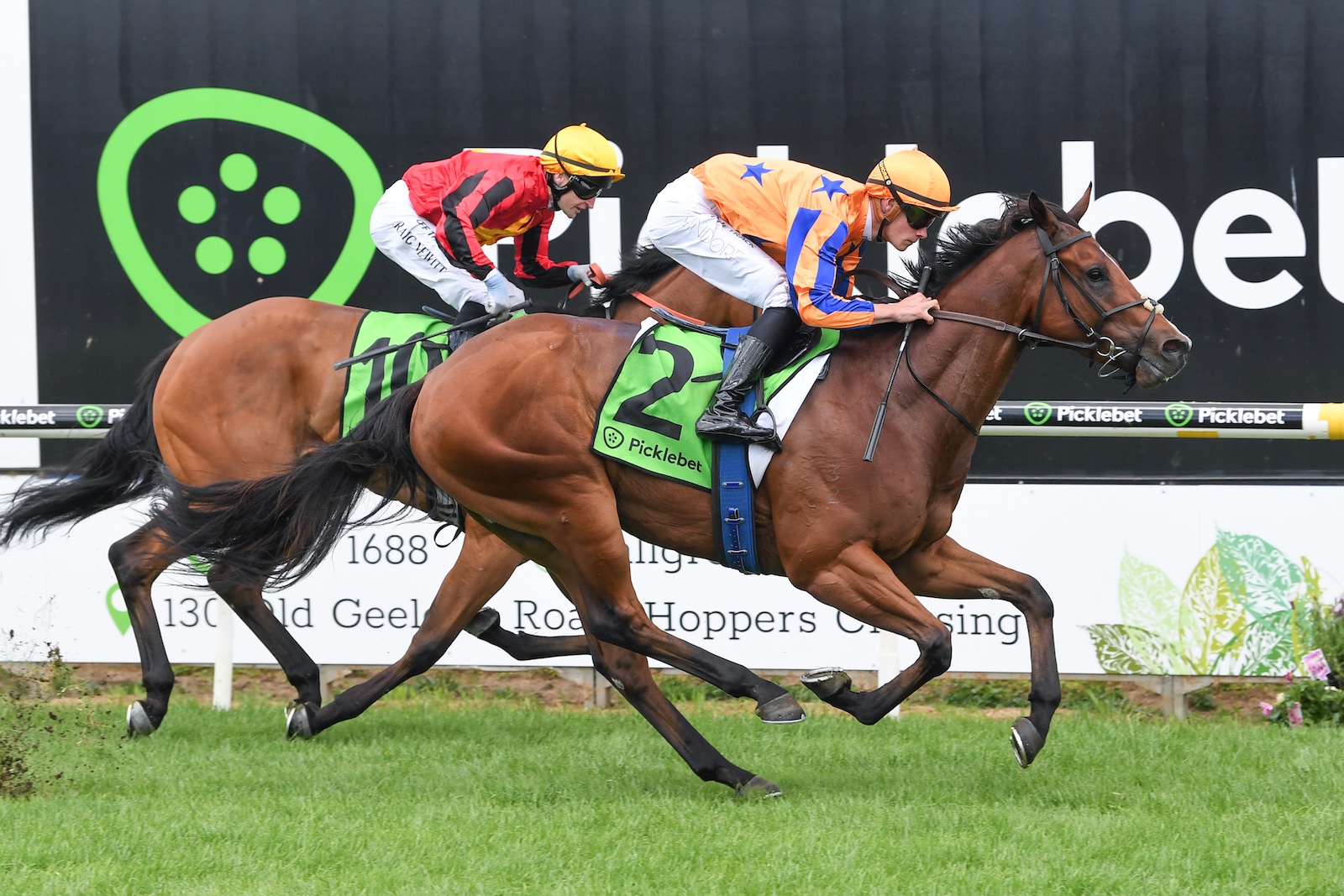 Newhaven graduates post impressive maiden wins