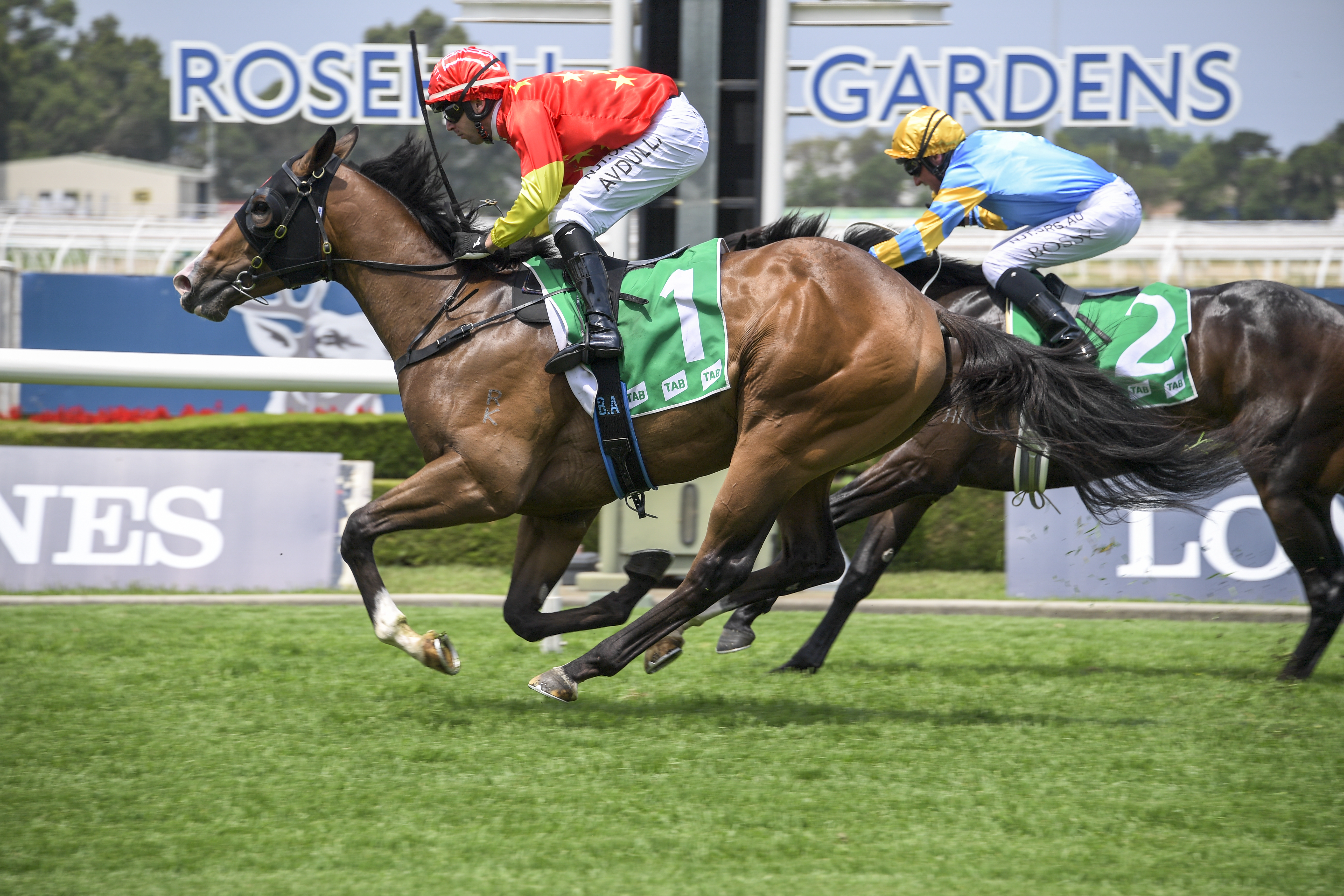 AIM SCORES JAW DROPPING WIN AT RANDWICK