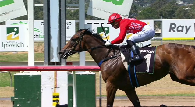 CHARLIE BOY, WHAT A TOP RUN