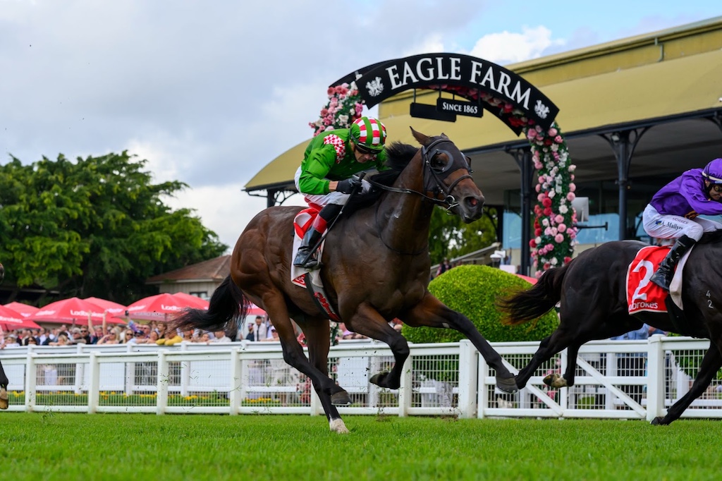 First stakes winning 2YO for Cool Aza Beel