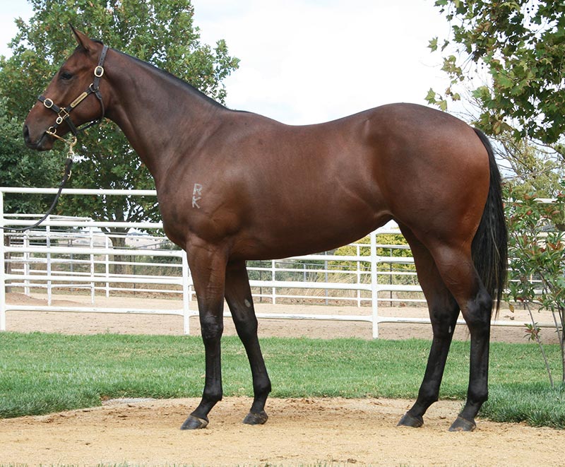 $1.8 million filly Al Naifa a winner