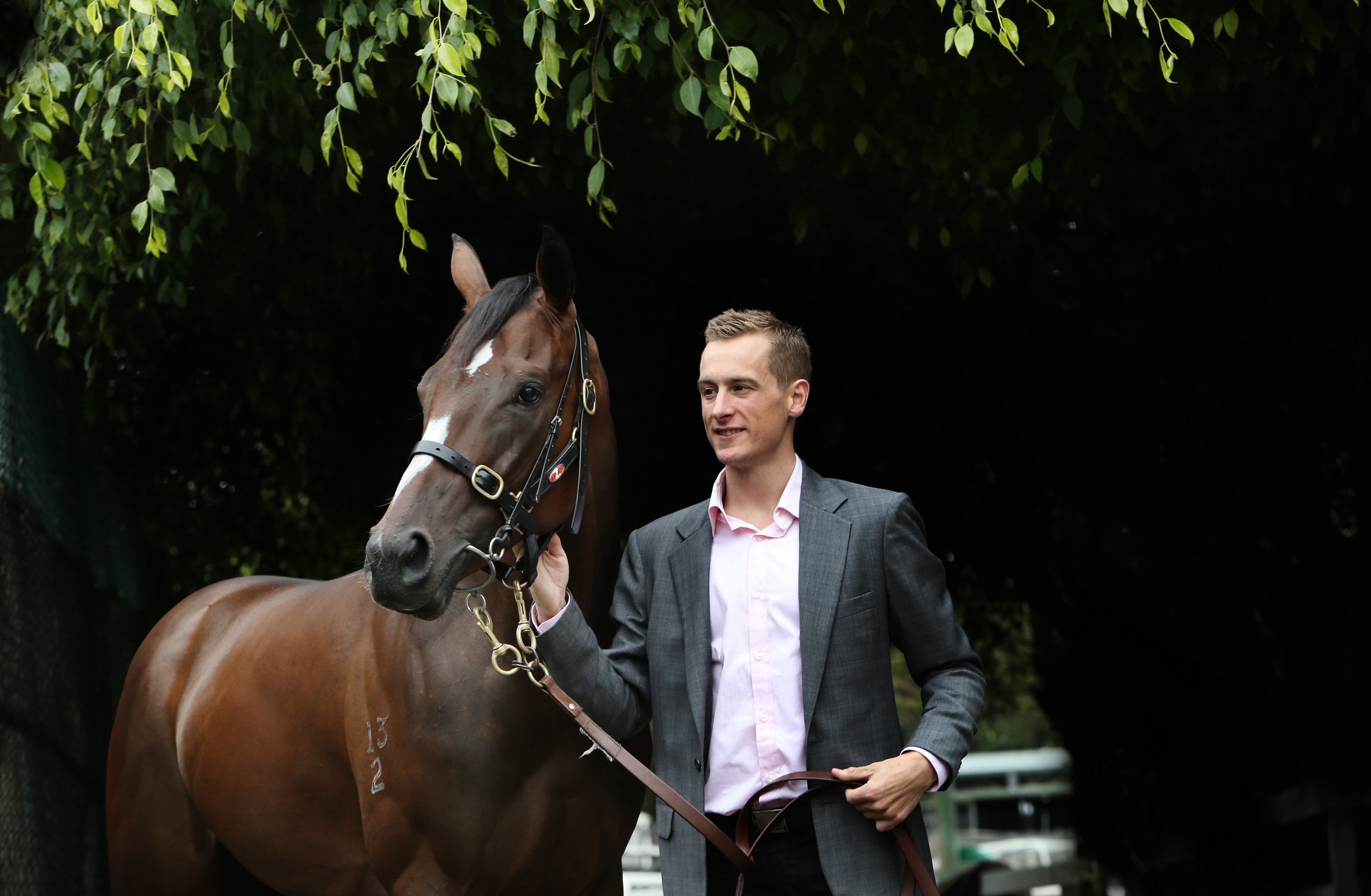 Newhaven Park bred English Crowned Champion 3YO Filly