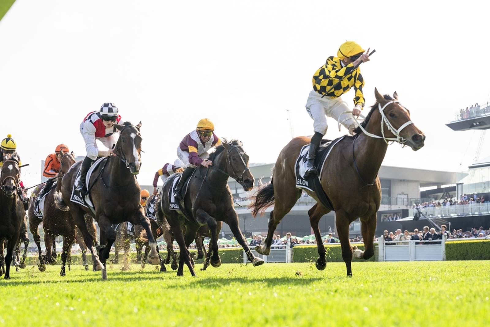 Autumn Glow goes 8-from-8 in the Golden Eagle