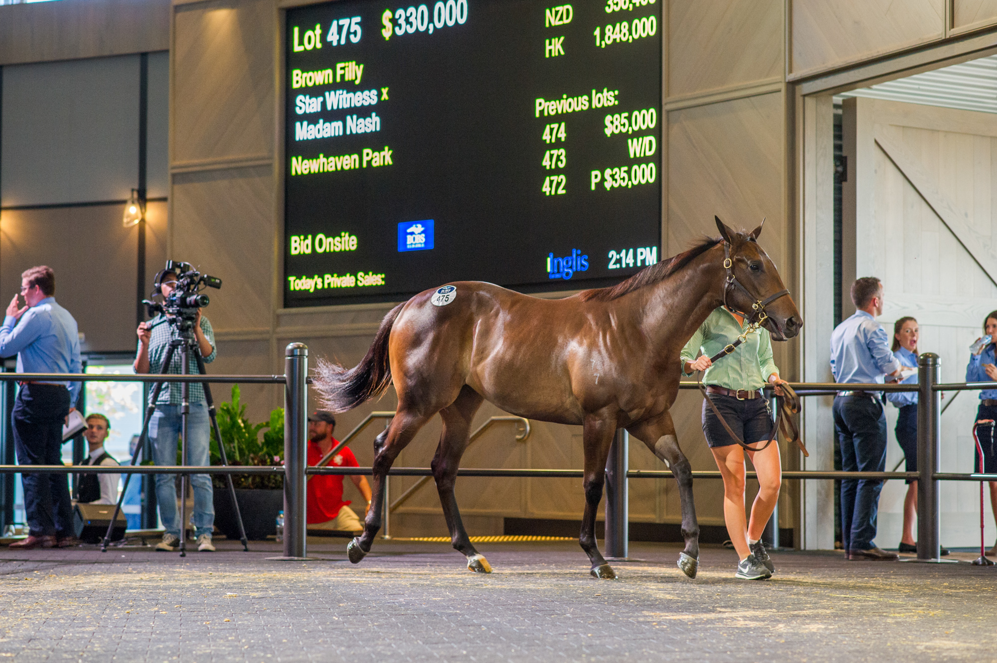 $350,000 Star Witness Filly Shines at Classic