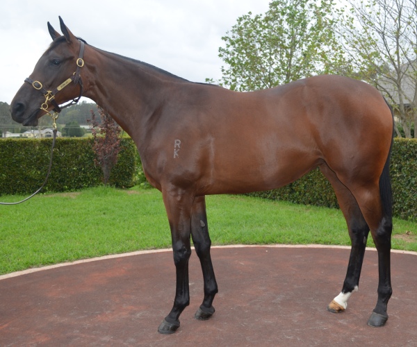 Lot666_Graphic_Filly