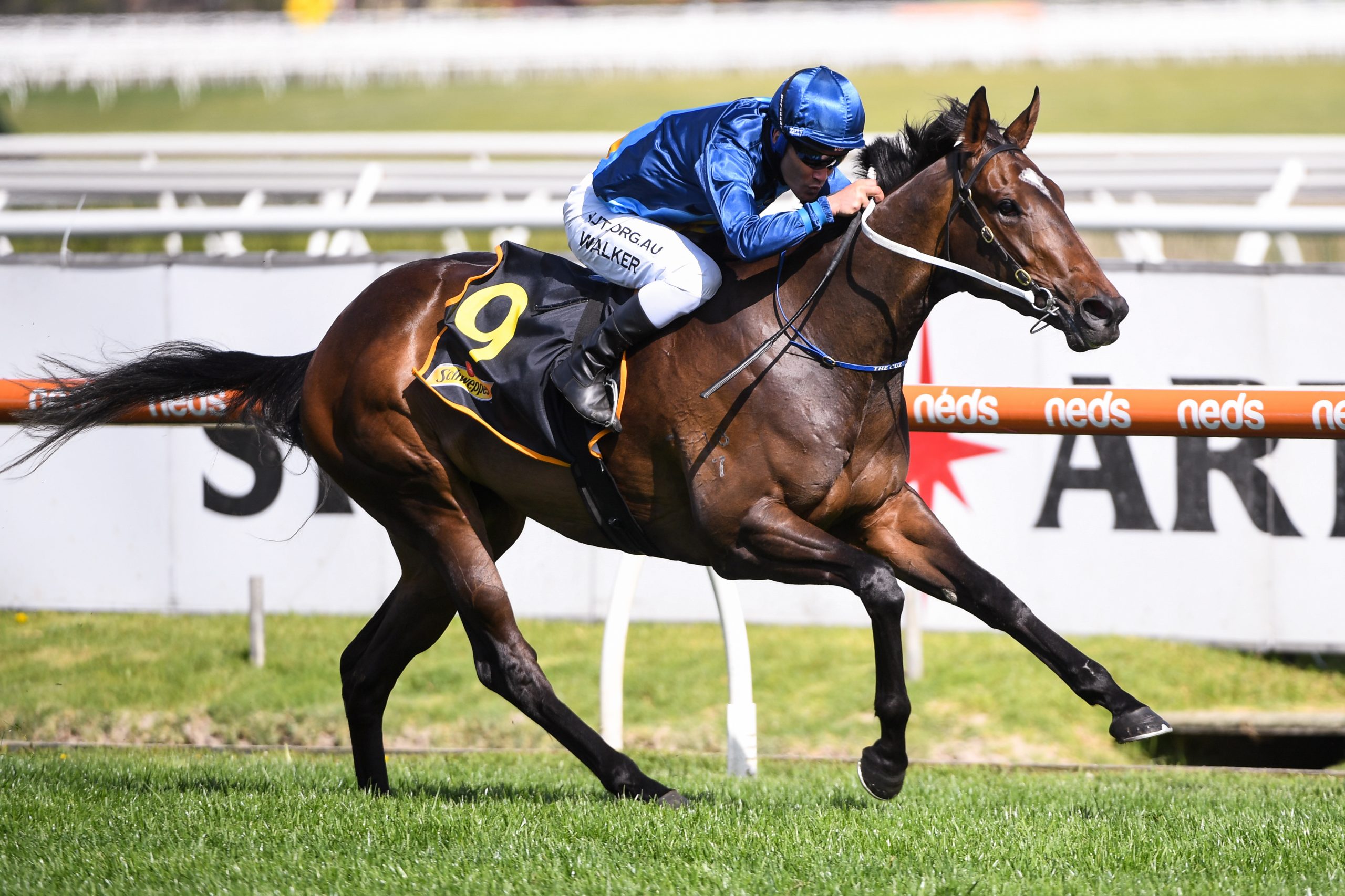Odeum Puts Them to the Sword in Thousand Guineas
