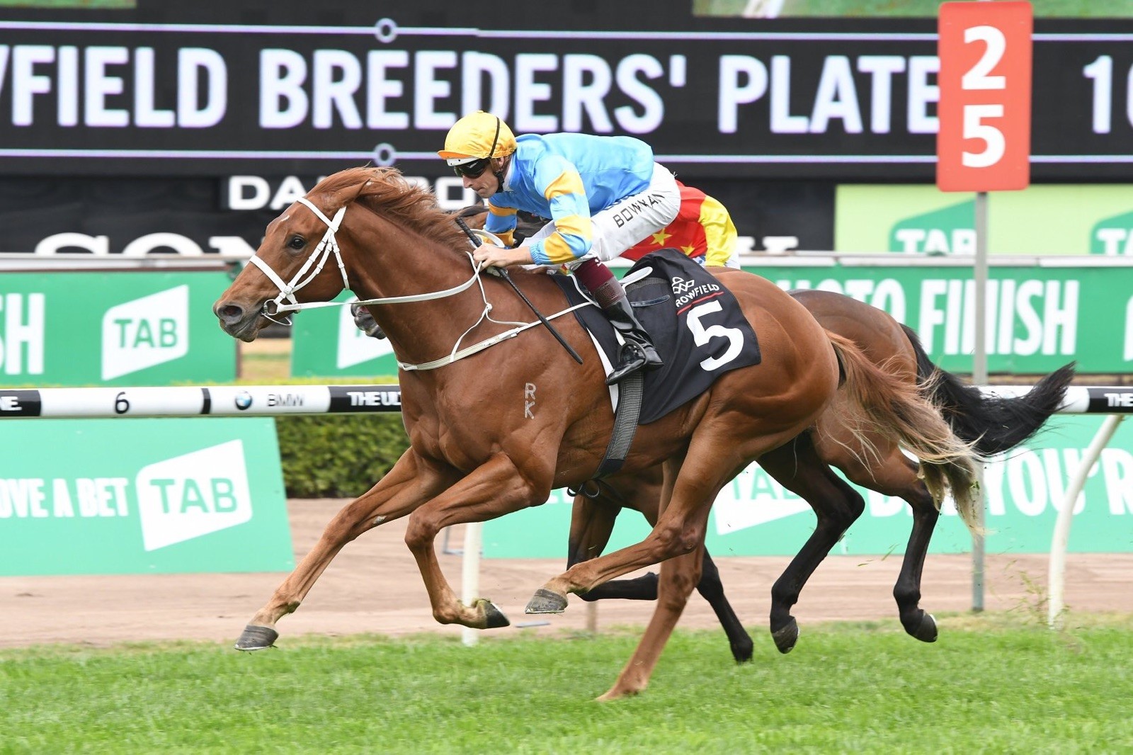 Newhaven Bred and Sold Performer Wins the Breeders Plate