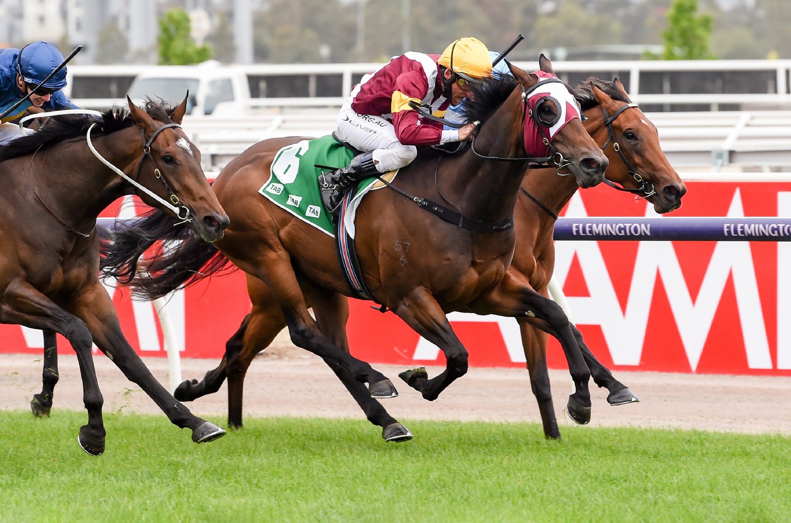 G1 Quinella for Newhaven Park Graduates