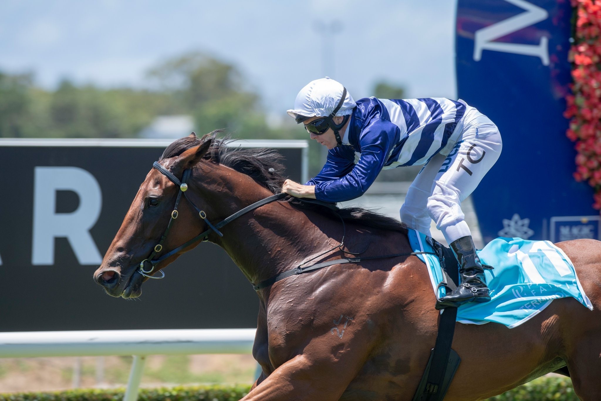 Terminology Wins $250,000 Magic Millions Maiden