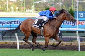 Prime Success with Newhaven Park Purchase