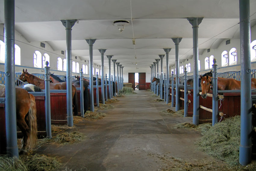 New Dressage Arena